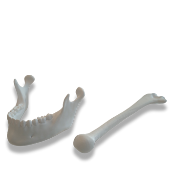 Highly detailed medical prototypes made of PLA-Premium bioplastic.